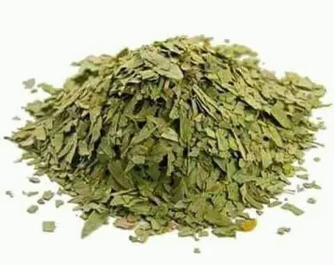 সোনাপাতার উপকারিতা ও ব্যবহারের নিয়ম – প্রাকৃতিক উপায়ে কোষ্ঠকাঠিন্য ও গ্যাস্ট্রিক দূর করুন