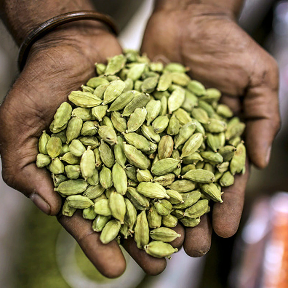 ছোট এলাচের গুণাগুণ ও ব্যবহার | Health Benefits of Small Cardamom